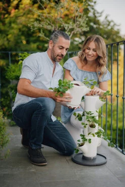 Sissi Strawberry Erdbeerturm Starter Weiß (4 Etagen) | Erdbeertürme Von Gusta Garden -Pegasu Samen Geschaft 543337 Sissy Strawberry starter weiss 4 Etagen 5