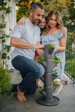 Sissi Strawberry Erdbeerturm Starter Anthrazit (4 Etagen) | Erdbeertürme Von Gusta Garden -Pegasu Samen Geschaft 543338 Sissy Strawberry starter anthrazit 4 Etagen 2