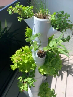 Sissi Strawberry Erdbeerturm Infinity Anthrazit (10 Etagen) | Erdbeertürme Von Gusta Garden -Pegasu Samen Geschaft 543344 Sissi Strawberry Erdbeerturm infinity anthrazit 10 Etagen 101529 gg 4