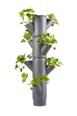 Sissi Strawberry Erdbeerturm Hanging Anthrazit (4 Etagen) | Erdbeertürme Von Gusta Garden -Pegasu Samen Geschaft 543598 Sissi Strawberry Hanging anthrazit 4 Etagen