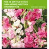Staudenwicke Mischung | Wickensamen Von Buzzy Seeds -Pegasu Samen Geschaft 545068 Buzzy Staudenwicke Mischung