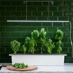 LED-Pflanzenleuchte Mit Adapter 23W (85 Cm) | Beleuchtung Von Nelson Garden -Pegasu Samen Geschaft 547623 LED Pflanzeneuchte mit Adapter 23W 85 cm 5567A ng 2