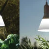 LED-Pflanzenleuchte Mit Schirm 15W E27 | Beleuchtung Von Nelson Garden -Pegasu Samen Geschaft 547625 LED Pflanzenleuchte mit Schirm 15W E27 5571A ng 1