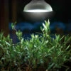 LED-Pflanzeneuchte 18W E27 | Beleuchtung Von Nelson Garden