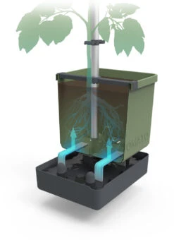 Tom Tomato Tomatentopf Dunkelgrün | Tomatentöpfe Von Gusta Garden -Pegasu Samen Geschaft 547958 Tom Tomato Dunkelgruen 2