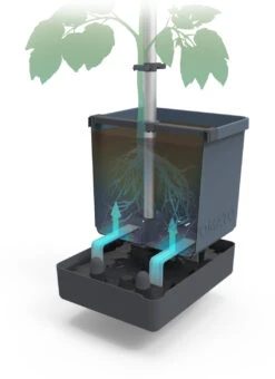 Tom Tomato Tomatentopf Blau | Tomatentöpfe Von Gusta Garden -Pegasu Samen Geschaft 547959 Tom Tomato Blau 2