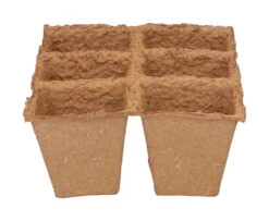 6 X 6 Cm Anzuchttopf Strips (32 Stück) | Anzuchttöpfe Von Sogo -Pegasu Samen Geschaft 548516 6 x 6 cm Organic Toepfe strips 32 Stueck 887312 sg 2