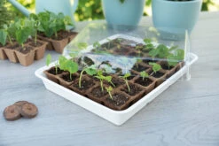 Eco Propagator (30 Töpfe) | Anzuchtschalen Von Sogo -Pegasu Samen Geschaft 548526 Eco Propagator mit 30 Torftoepfen 887348 sg 3