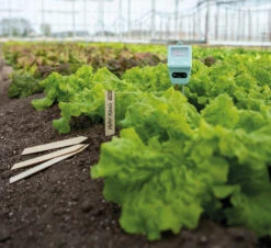 PH Feuchtigkeitsmesser | Gartengeräte Von Sogo