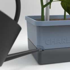 Charly Chili Chilitopf Blau | Chilitöpfe Von Gusta Garden -Pegasu Samen Geschaft 548626 Charly Chili Chilitopf blau 104710 gg 3