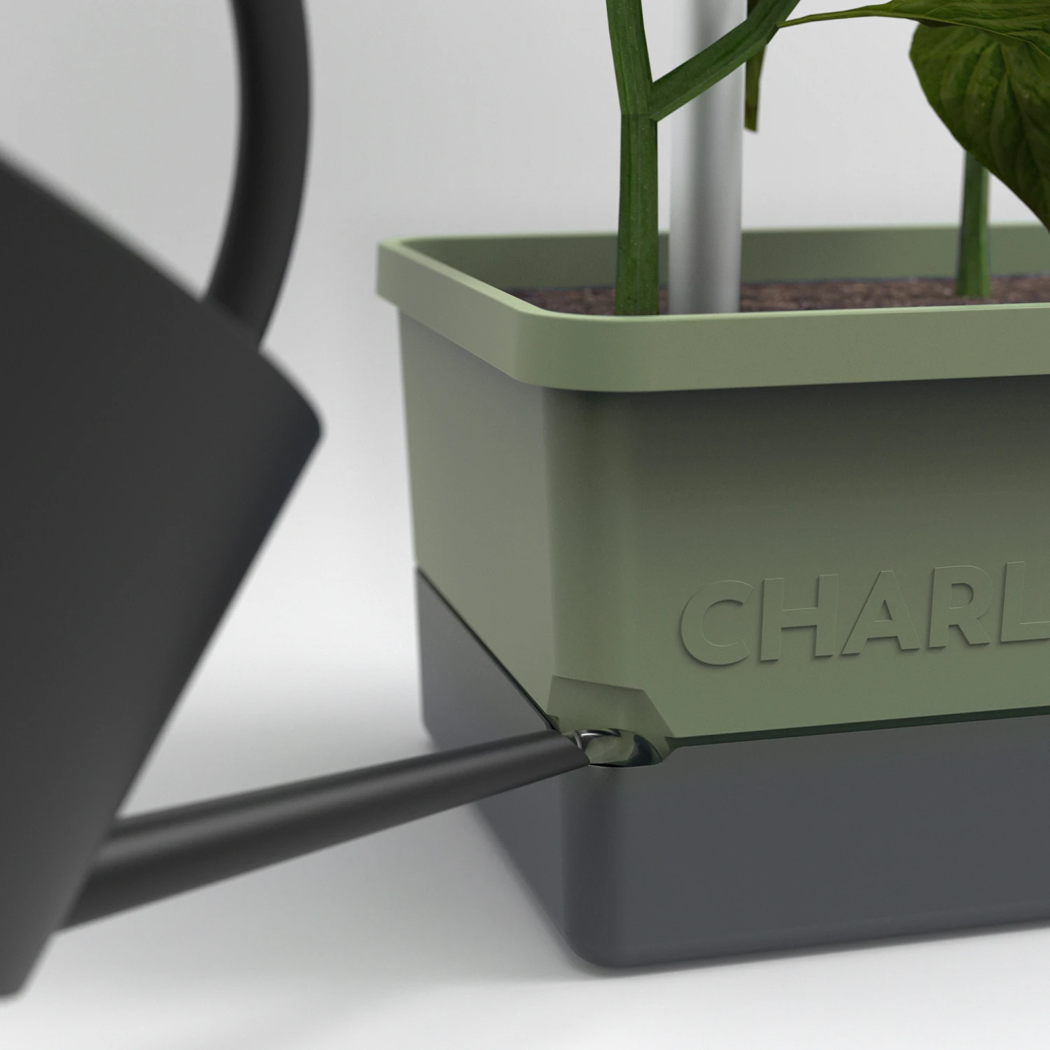 Charly Chili Chilitopf Dunkelgrün | Chilitöpfe Von Gusta Garden 3 Charly Chili Chilitopf Dunkelgrün | Chilitöpfe Von Gusta Garden