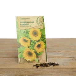 Blumen Set Bibi Balkonessa | BIO Blumensamen-Sets Von Samen Maier [MHD 12/2023] -Pegasu Samen Geschaft 549604 BIO Blumen Set Bibi Balkonessa A03 sm 2