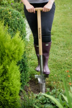 Langstiel Zwiebelpflanzer | Gartengeräte Von Kent &amp; Stowe -Pegasu Samen Geschaft 549923 Langstiel Zwiebelpflanzer 881880 ks 2