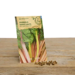 Gewächshaus Set Albert Pflanzfein | BIO Gemüsesamen-Sets Von Samen Maier -Pegasu Samen Geschaft 550509 BIO Gewaechshaus Set Albert Pflanzfein A08 sm 1