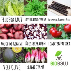 Gourmetgarten 8 Alte Sorten Set | BIO Gemüsesamen-Sets Von Biobalu