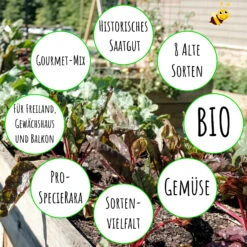 Gourmetgarten 8 Alte Sorten Set | BIO Gemüsesamen-Sets Von Biobalu -Pegasu Samen Geschaft 550615 BIO Gourmetgarten 8 Alte Sorten Set BB1009 4