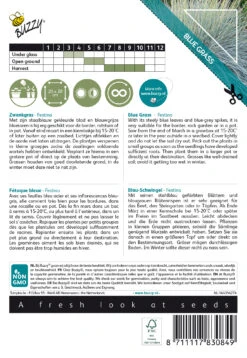 Blau-Schwingel Festina | Blauschwingelsamen Von Buzzy Seeds