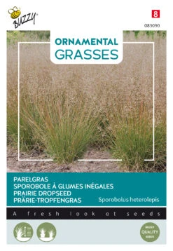 Prärie-Tropfengras | Ziergrassamen Von Buzzy Seeds