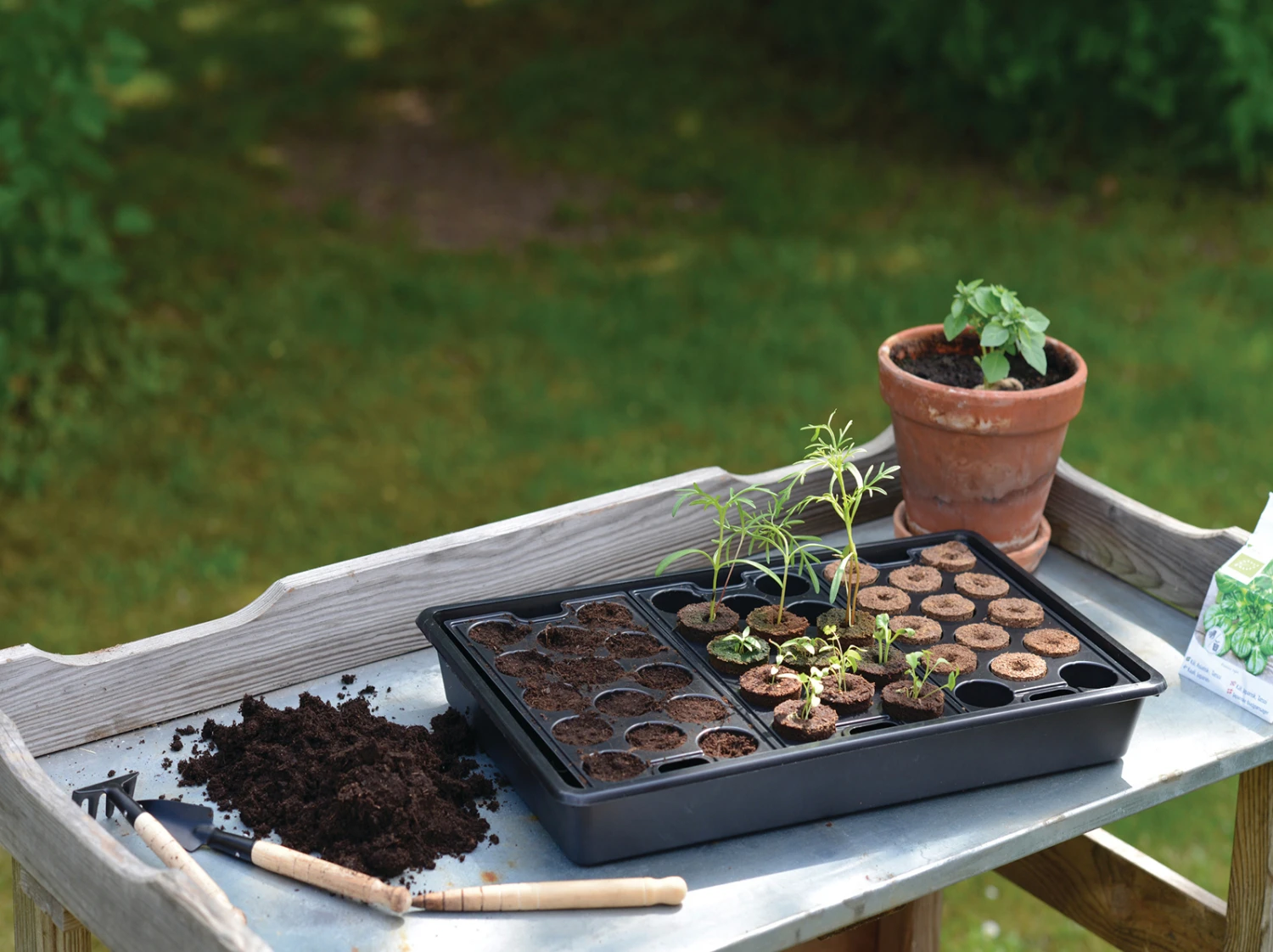Mini-Topfplatte In Anzuchtschale | Anzuchtschalen Von Nelson Garden 4 Mini-Topfplatte In Anzuchtschale | Anzuchtschalen Von Nelson Garden – Bild 2