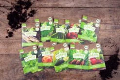 Gemüse Saatgut Archiv Holzbox (10 Tütchen + Register) | BIO Gemüsesamen-Sets Von FLORTUS -Pegasu Samen Geschaft 551883 BIO Saatgut Archiv Holzbox 10 Tuetchen Register 2000 0564 2