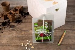 Gemüse Saatgut Archiv Holzbox (10 Tütchen + Register) | BIO Gemüsesamen-Sets Von FLORTUS -Pegasu Samen Geschaft 551883 BIO Saatgut Archiv Holzbox 10 Tuetchen Register 2000 0564 3