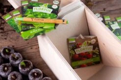 Gemüse Saatgut Archiv Holzbox (10 Tütchen + Register) | BIO Gemüsesamen-Sets Von FLORTUS -Pegasu Samen Geschaft 551883 BIO Saatgut Archiv Holzbox 10 Tuetchen Register 2000 0564 6