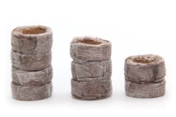 Kokos Quelltöpfe (1155 Stück) | BIO Kokos Quelltöpfe Von Jiffy -Pegasu Samen Geschaft 551968 BIO Kokos Quelltoepfe 1155 Stueck 63170030 jf 2