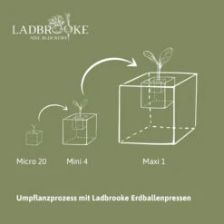 Erdballenpresse Maxi 1 Soil Blocker | Erdtopfpressen Von Ladbrooke Soil Blockers -Pegasu Samen Geschaft 551993 Erdballenpresse Maxi 1 Soil Blocker LADMAX1 lsb 4