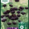 Kornblume Black Boy | Kornblumensamen Von Nelson Garden -Pegasu Samen Geschaft 552238 Kornblume Black Boy 93362A ng 0