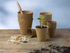 8 Cm Anzuchttopf Rund Auf Holzfaser Basis | Anzuchttöpfe Von FLORTUS -Pegasu Samen Geschaft 552303 8 cm Anzuchttopf rund auf Holzfaser Basis 30 Stueck 2000 0595 5