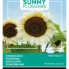 Sonnenblume White Moon F1 | Sonnenblumensamen Von Buzzy Seeds -Pegasu Samen Geschaft 552553 Sonnenblume White Moon F1 80827 by 0