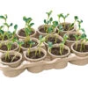 Eco Topfplatte (12 Töpfe) | Anzuchtschalen Von Sogo -Pegasu Samen Geschaft 552597 Eco Topfplatte 12 Toepfe 887353 sg 0