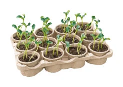 Eco Topfplatte (12 Töpfe) | Anzuchtschalen Von Sogo