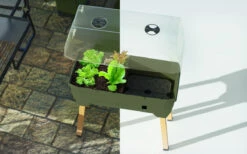 Sammy Salad Hochbeet Dunkelgrün | Balkonhochbeete Von Gusta Garden -Pegasu Samen Geschaft 553103 Sammy Salad Hochbeet Dunkelgruen 103A10 gg 2