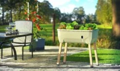 Sammy Salad Hochbeet Dunkelgrün | Balkonhochbeete Von Gusta Garden -Pegasu Samen Geschaft 553103 Sammy Salad Hochbeet Dunkelgruen 103A10 gg 9