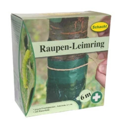Raupen-Leimring (6 M) | BIO Pflanzenschutz Von Schacht