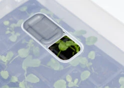 Anzucht-Gewächshaus Easy Water Haube | Anzuchthauben Von Clever Pots -Pegasu Samen Geschaft 553522 Gewaechshaus Easy Water Haube 1 Stueck 503882 kp 4