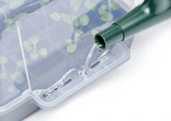 Anzucht-Gewächshaus Easy Water Haube | Anzuchthauben Von Clever Pots -Pegasu Samen Geschaft 553522 Gewaechshaus Easy Water Haube 1 Stueck 503882 kp 6