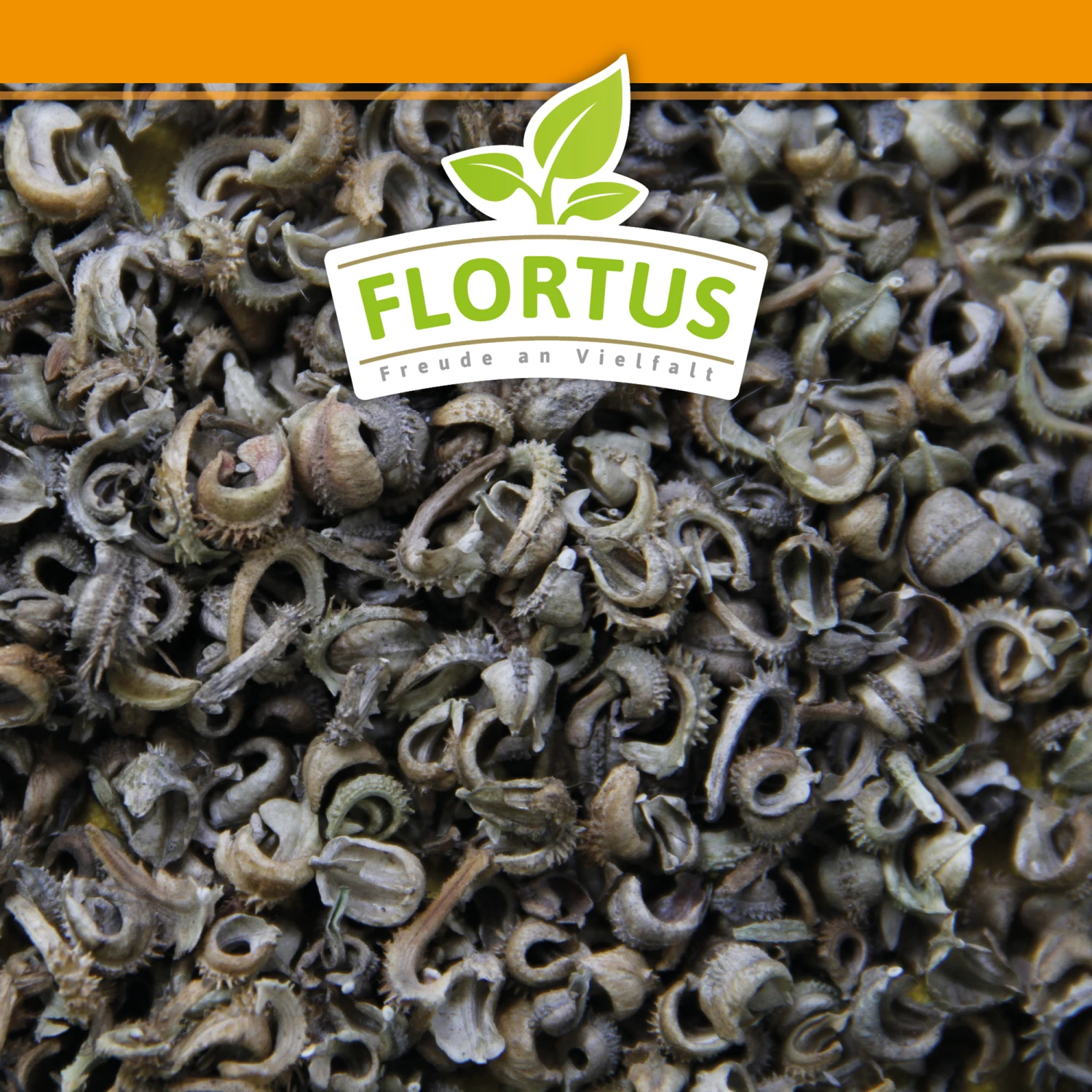 Ringelblumen Mischung | Blumenwiese Von FLORTUS 5 Ringelblumen Mischung | Blumenwiese Von FLORTUS – Bild 3