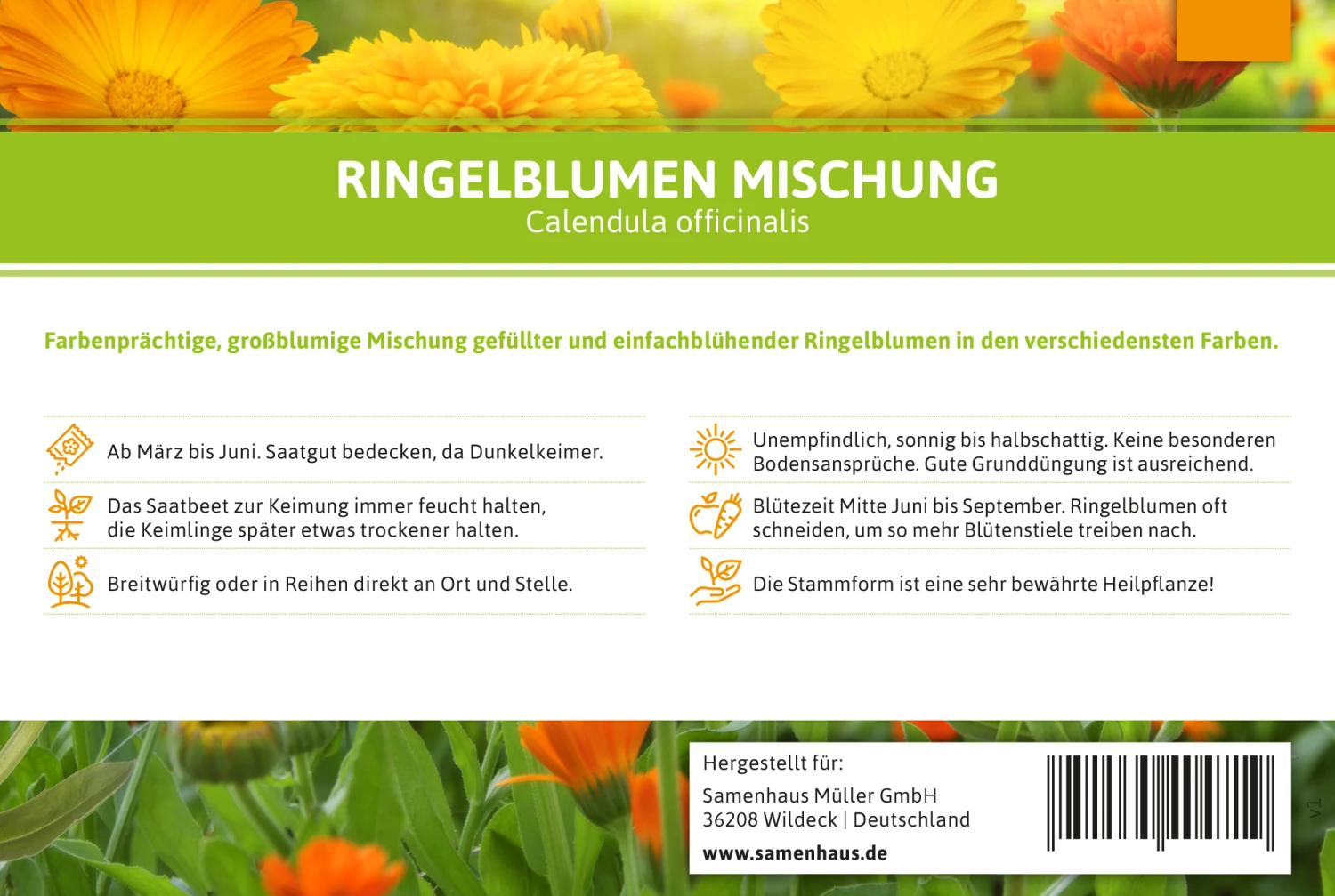 Ringelblumen Mischung | Blumenwiese Von FLORTUS 8 Ringelblumen Mischung | Blumenwiese Von FLORTUS – Bild 6