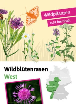 Wildblütenrasen West  (30 G) | Blumenrasen Von Tausende Gärten -Pegasu Samen Geschaft 554857 Wildbluetenrasen West 30 g 050 0030 0
