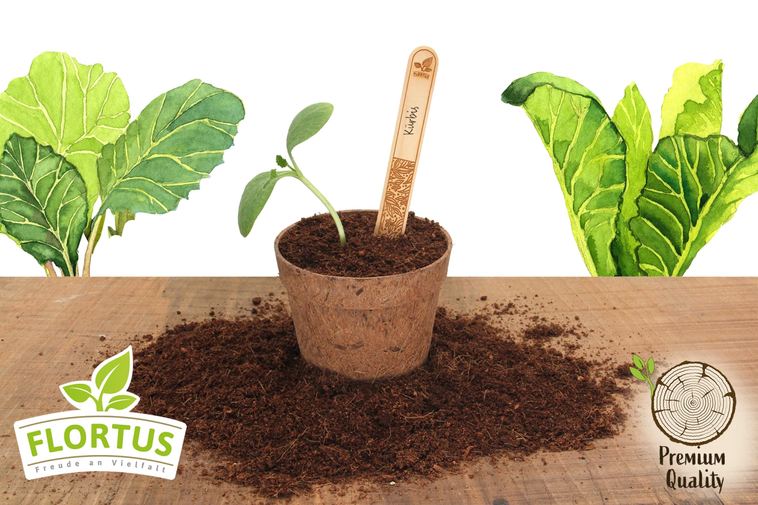 Holzstecketiketten Mit Lasergravur (10 Stück) | Pflanzenetiketten Von FLORTUS 4 Holzstecketiketten Mit Lasergravur (10 Stück) | Pflanzenetiketten Von FLORTUS – Bild 2