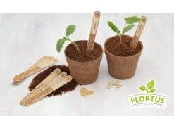 Holzstecketiketten Mit Lasergravur (10 Stück) | Pflanzenetiketten Von FLORTUS 13 Holzstecketiketten Mit Lasergravur (10 Stück) | Pflanzenetiketten Von FLORTUS -Pegasu Samen Geschaft 554995 Holzstecketiketten mit Lasergravur 10 Stueck 2000 0780 5