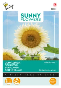 Sonnenblume White Sun F1 | Sonnenblumensamen Von Buzzy Seeds -Pegasu Samen Geschaft 555032 Sonnenblume White Sun F1 080824 by 0