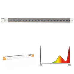 Cosmorrow Infrarot LED-Leuchte (20W) | LED Leuchten Von Secret Jardin 9 Cosmorrow Infrarot LED-Leuchte (20W) | LED Leuchten Von Secret Jardin -Pegasu Samen Geschaft 558366 Cosmorrow Infrarot LED Leuchte 20W 534831 Secret Jardin Cosmorrow Infrared LED Leuchte 20 W 3
