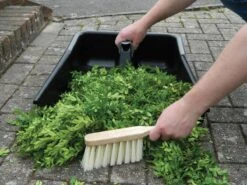 55 X 49 X 16,5 Cm Jumbo Kehrschaufel &amp; Besen | Gartenzubehör Von Garland -Pegasu Samen Geschaft 558817 55 x 49 x 16 5 cm Jumbo Kehrschaufel und Besen G205 gl 2