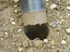 28 X 26 X 7,5 Cm Kurzstieliger Blumenzwiebel Pflanzer | Gartenzubehör Von Garland -Pegasu Samen Geschaft 558875 28 x 26 x 7 5 cm Kurzstieliger Blumenzwiebel Pflanzer W0474 gl 6