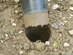 88 X 30,5 X 7,5 Cm Langstieliger Blumenzwiebel Pflanzer | Gartenzubehör Von Garland -Pegasu Samen Geschaft 558876 88 x 30 5 x 7 5 cm Langstieliger Blumenzwiebel Pflanzer W0475 gl 7