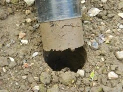 88 X 30,5 X 7,5 Cm Langstieliger Blumenzwiebel Pflanzer | Gartenzubehör Von Garland -Pegasu Samen Geschaft 558876 88 x 30 5 x 7 5 cm Langstieliger Blumenzwiebel Pflanzer W0475 gl 8