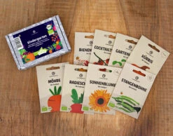 Kindergarten Set | BIO Gemüsesamen-Sets Von Wundergarten